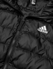 adidas Sportswear - Essentials Light Down Hooded Parka - Žieminės striukės - black - 4