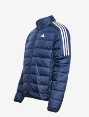 adidas Sportswear - Essentials Down Jacket - Žieminės striukės - legink - 2