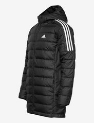 adidas Sportswear - Essentials Down Parka - vinterjakker - black - 2