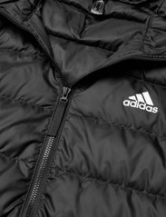 adidas Sportswear - Essentials Down Parka - ulkoilu- & sadetakit - black - 6