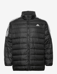adidas Sportswear - Essentials Light Down Jacket (Plus Size) - Žieminės striukės - black - 0