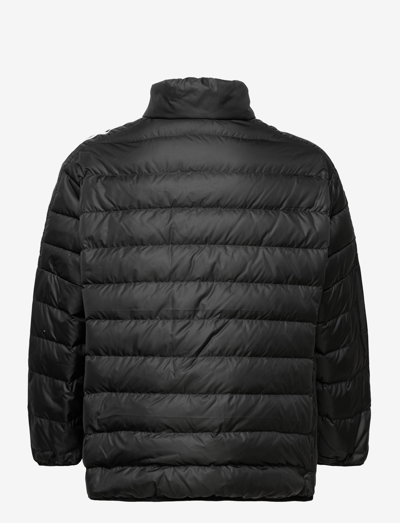 adidas Sportswear - Essentials Light Down Jacket (Plus Size) - Žieminės striukės - black - 1