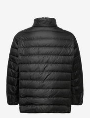 adidas Sportswear - Essentials Light Down Jacket (Plus Size) - Žieminės striukės - black - 1