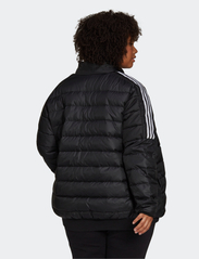 adidas Sportswear - Essentials Light Down Jacket (Plus Size) - Žieminės striukės - black - 3