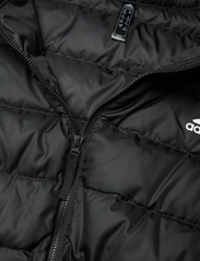 adidas Sportswear - Essentials Light Down Jacket (Plus Size) - Žieminės striukės - black - 4
