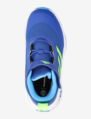 adidas Sportswear - Fortarun All Terrain Cloudfoam Sport Running Shoes - laufschuhe - royblu/sgreen/pulblu - 3