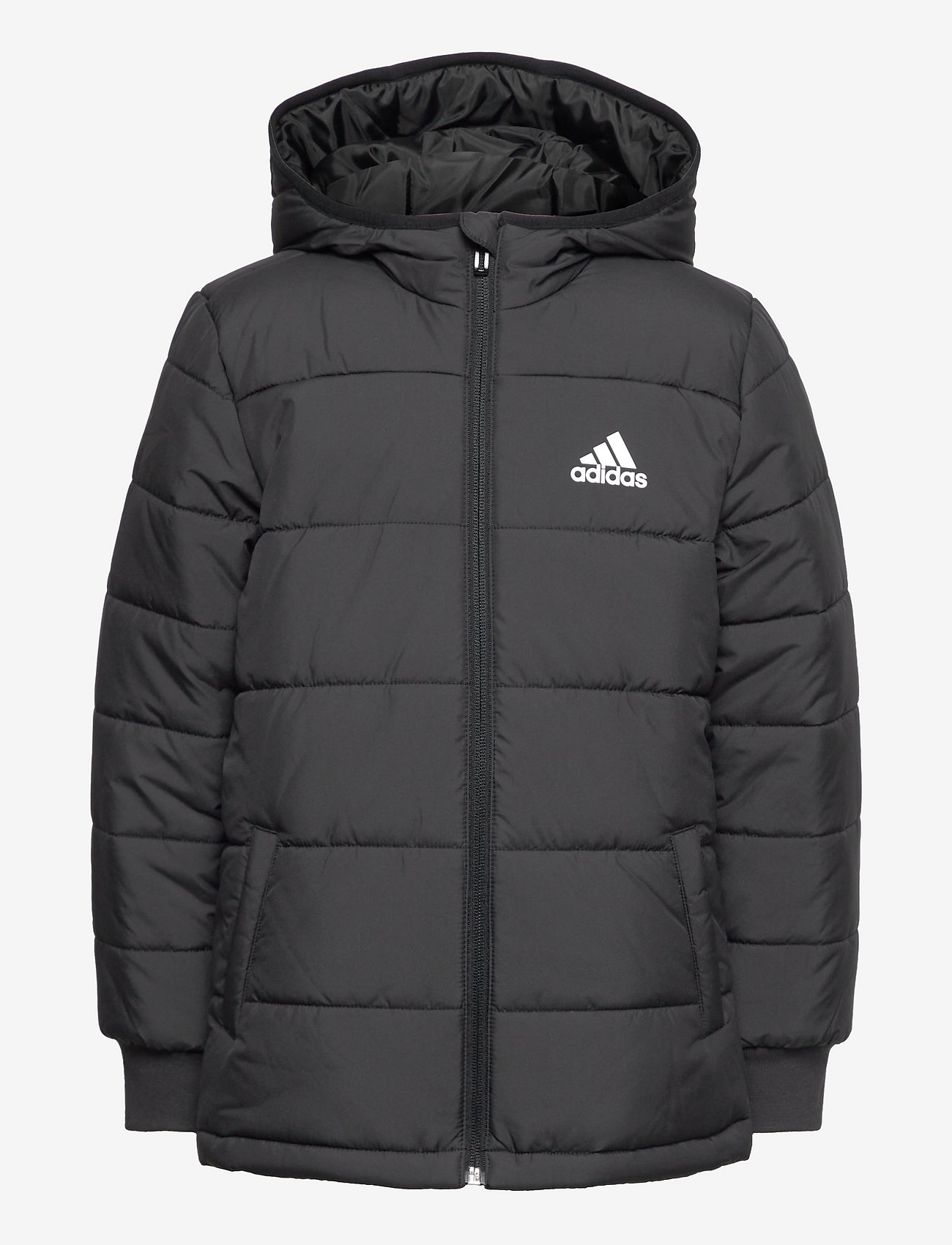 adidas Sportswear - Padded Winter Jacket - daunen- und steppjacken - black/black/white - 0