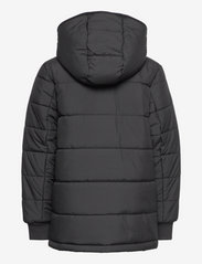 adidas Sportswear - Padded Winter Jacket - daunen- und steppjacken - black/black/white - 1