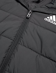 adidas Sportswear - Padded Winter Jacket - daunen- und steppjacken - black/black/white - 2