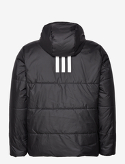 adidas Sportswear - BSC 3-Stripes Hooded Insulated Jacket - vinterjackor - black - 1