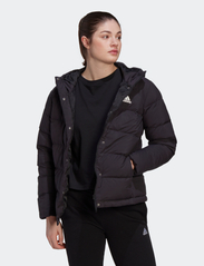 adidas Sportswear - Helionic Hooded Down Jacket - down- & padded jackets - black - 0