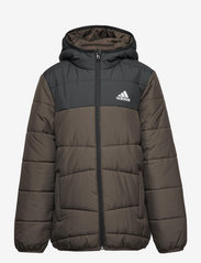 adidas Sportswear - Padded Winter Jacket - isolierte jacken - shaoli - 0