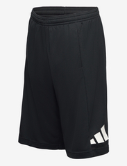 adidas Sportswear - Train Essentials AEROREADY Logo Regular-Fit Shorts - collegeshortsit - black/white - 2