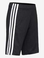 adidas Sportswear - U 3S KN SHO - kesälöytöjä - black/white - 3