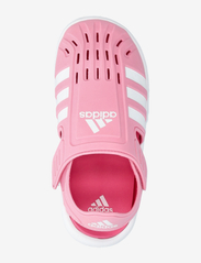 adidas Sportswear - WATER SANDAL C - sommerschnäppchen - blipnk/ftwwht/pulmag - 3