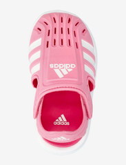 adidas Sportswear - WATER SANDAL I - sommerschnäppchen - blipnk/ftwwht/pulmag - 3