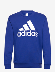 Essentials Fleece Big Logo Sweatshirt - SELUBL