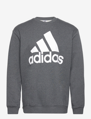 Essentials Fleece Big Logo Sweatshirt - DGREYH