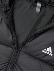 adidas Sportswear - BSC 3-Stripes Puffy Hooded Jacket - vinterjackor - black - 2