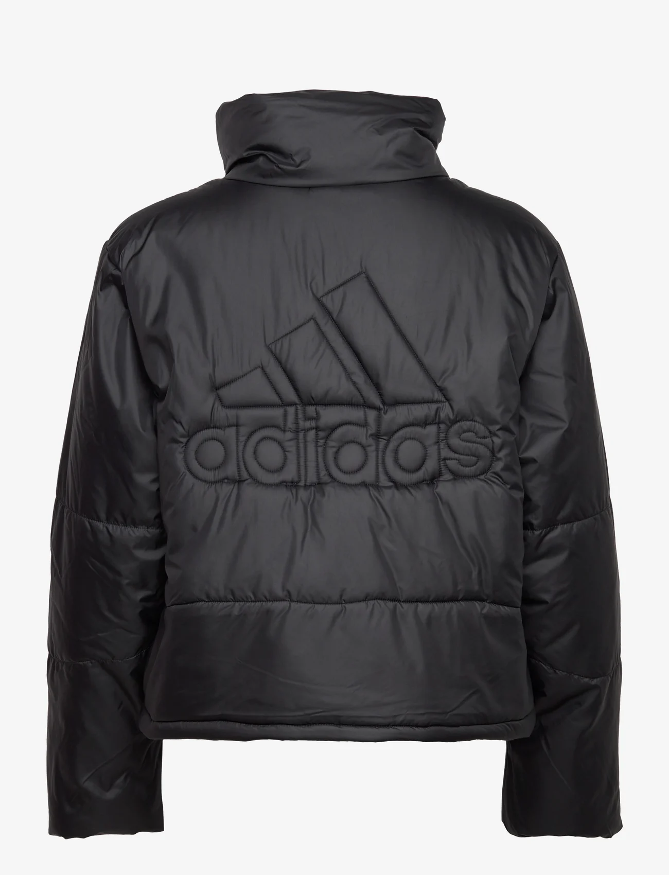 adidas Sportswear - W BSC PADDED J - vinterjackor - black - 1