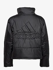 adidas Sportswear - W BSC PADDED J - Žieminės striukės - black - 1