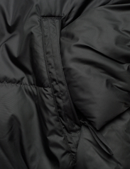 adidas Sportswear - W BSC PADDED J - Žieminės striukės - black - 3