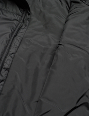 adidas Sportswear - W BSC PADDED J - Žieminės striukės - black - 4