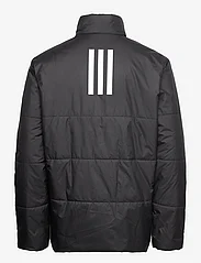 adidas Sportswear - BSC 3S INS JKT - vinterjakker - black - 1