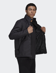 adidas Sportswear - BSC 3S INS JKT - vinterjackor - black - 4