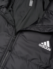 adidas Sportswear - BSC 3S INS JKT - vinterjackor - black - 5