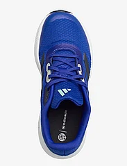 adidas Sportswear - RUNFALCON 3.0 K - chaussures de course - lucblu/legink/ftwwht - 3