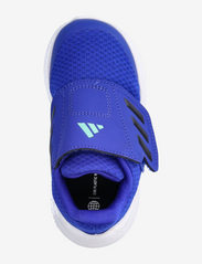 adidas Sportswear - RUNFALCON 3.0 AC I - kesälöytöjä - lucblu/legink/ftwwht - 3