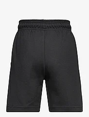 adidas Sportswear - U FI LOGO SH - sweat shorts - black/black - 1