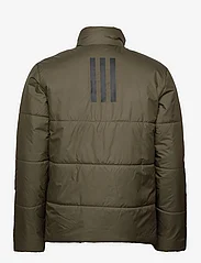 adidas Sportswear - BSC 3S INS JKT - vinterjackor - olistr - 1