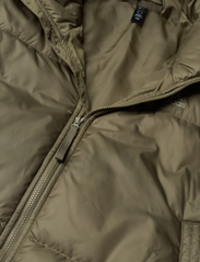 adidas Sportswear - W BSC PADDED J - winter jacket - olistr - 2