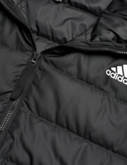 adidas Sportswear - ESS L D H J - Žieminės striukės - black - 1