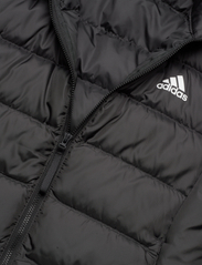 adidas Sportswear - W ESS 3S L D J - winter jacket - black - 5