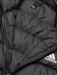 adidas Sportswear - ESS 3S L DOWN V - jakker og regnjakker - black - 2