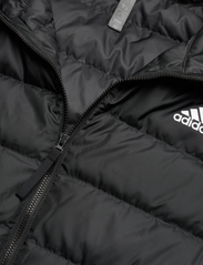 adidas Sportswear - adidas Essentials Light Down Jacket - ulkoilu- & sadetakit - black - 2