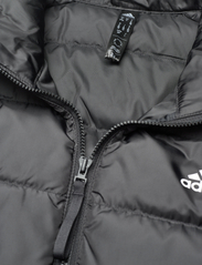 adidas Sportswear - W ESS 3S L D VE - down- & padded jackets - black - 2