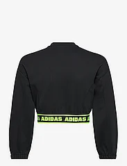 adidas Sportswear - JG D CROP BMBER - lentejassen - black/carbon/luclem - 1
