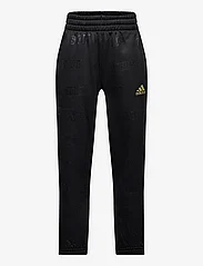 adidas Sportswear - JB BLQ4 PANT - dressipüksid - black/goldmt - 0