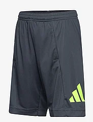 adidas Sportswear - Train Essentials AEROREADY Logo Regular-Fit Shorts - summer savings - carbon/luclem - 2