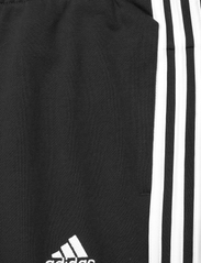 adidas Sportswear - W IN3S FT CF PT - black/white - 3