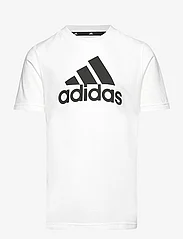 adidas Sportswear - LK BL CO TEE - kortermede t-skjorter - white/black - 0