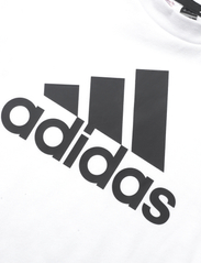 adidas Sportswear - LK BL CO TEE - kortermede t-skjorter - white/black - 2