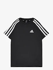 adidas Sportswear - LK 3S CO TEE - kortærmede t-shirts - black/white - 0