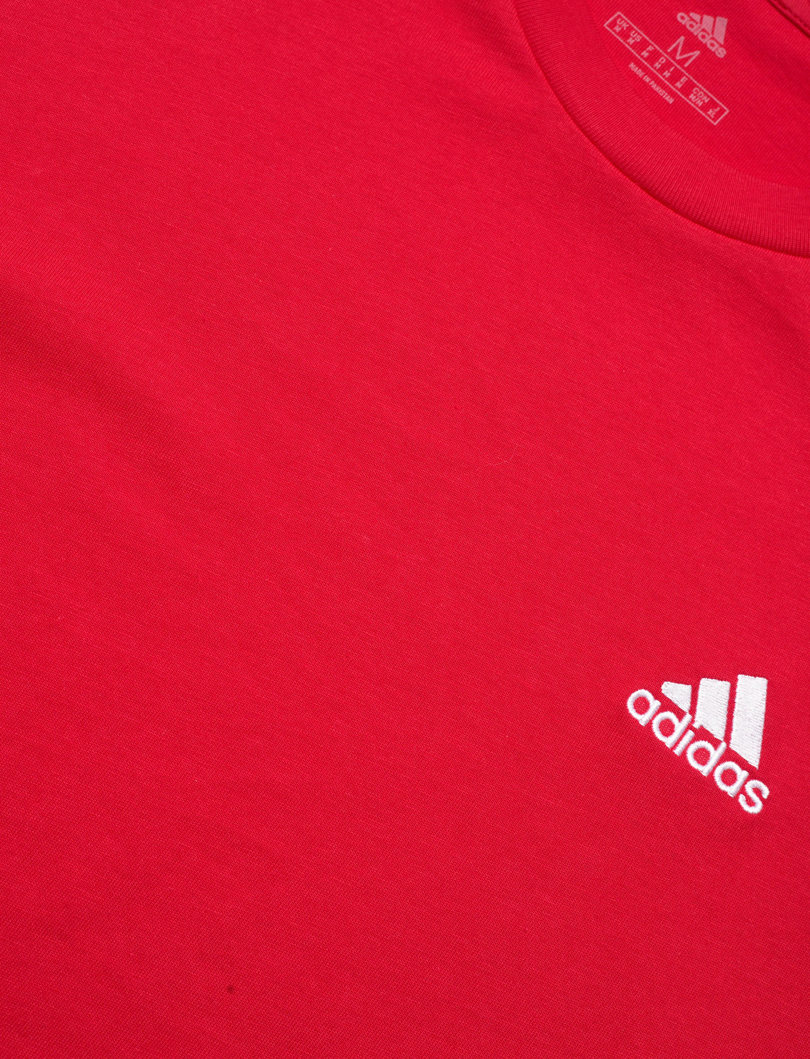 adidas Sportswear - M 3S SJ T - t-shirts - betsca/white - 2