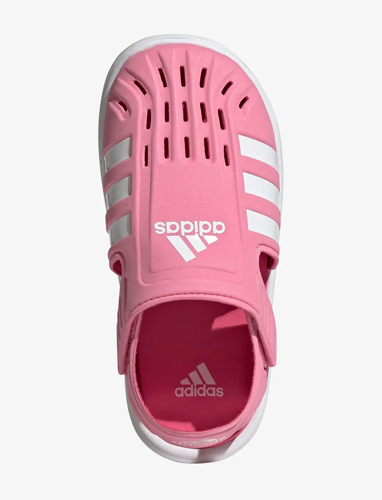 adidas Sportswear - WATER SANDAL C - water shoes - blipnk/ftwwht/pulmag - 4