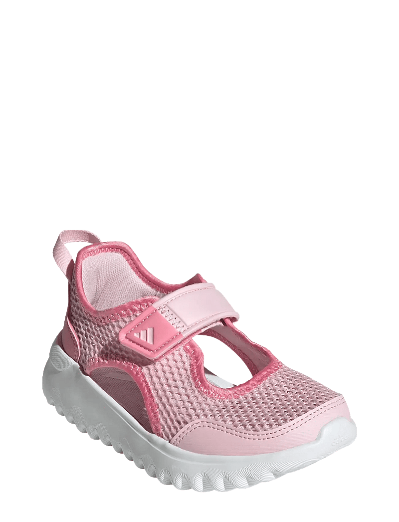 adidas Sportswear - SUMMERFLEX C - sandales - clpink/blipnk/blilil - 1
